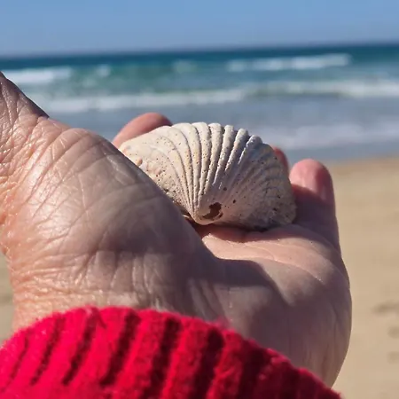 Junto A La Playa Con Piscina Privada. Conil De La Frontera